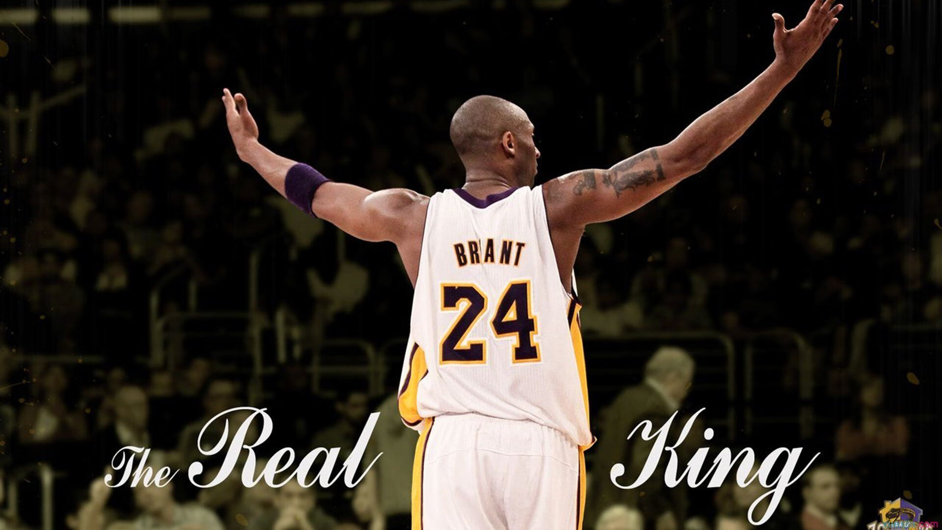 开云官方app入口-冰与火的交响,穆雷在ATP总决赛的逆袭与拉沃尔杯的烈焰